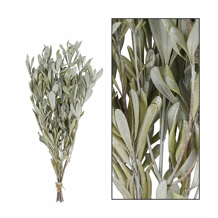 Ramo de flores secas Mixto - Largo: 76 cm, Natural - Imagen de un manojo de ramas de olivo artificiales con hojas verdes y grises delicadas, perfectas para una decoración elegante.