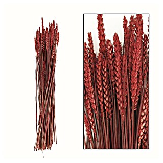 Ramo de flores secas Triticum (Largo: 76 cm, Rojo)