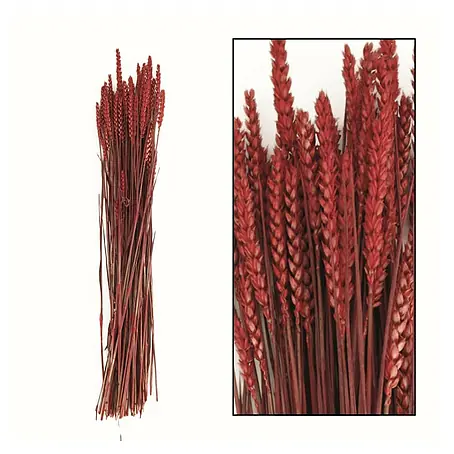 Ramo de flores secas Triticum