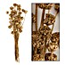 Ramo de flores secas Honey 