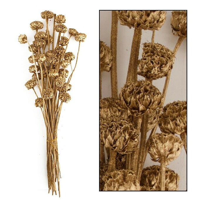 Ramo de flores secas Honey (Largo: 76 cm, Dorado) | BAUHAUS