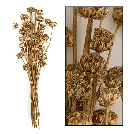 Ramo de flores secas Honey
