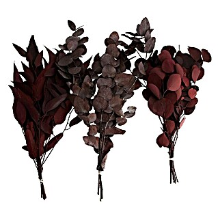 Ramo de flores secas Eucalipto (Largo: 76 cm, Rojo)