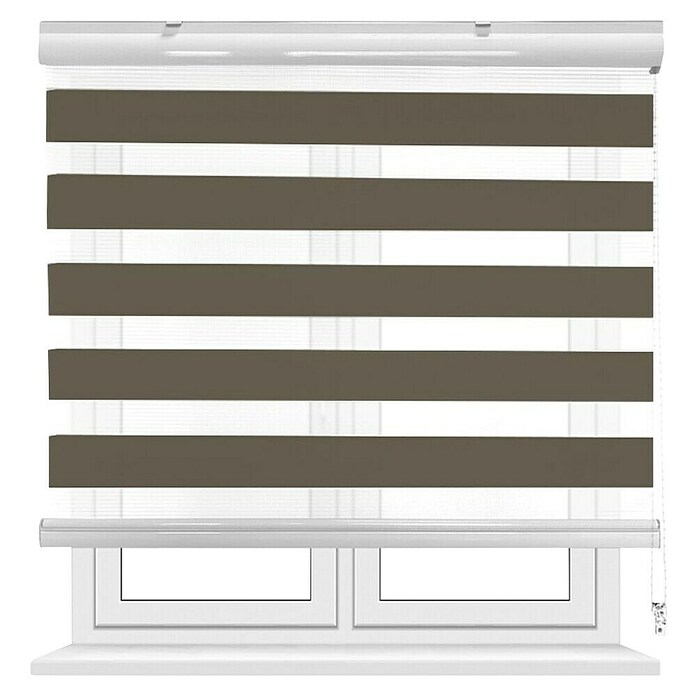 Estor noche y día Martina (An x Al: 200 x 190 cm, Taupe) | BAUHAUS