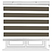 Estor noche y día Martina (An x Al: 200 x 190 cm, Taupe) | BAUHAUS