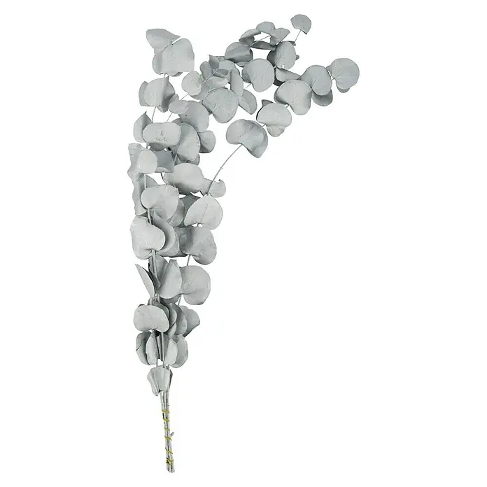 Ramo de flores secas Eucalipto - Largo: 76 cm, Plata - Rama de eucalipto artificial plateada. Esta elegante decoración añade un toque de elegancia y frescura a cualquier habitación.