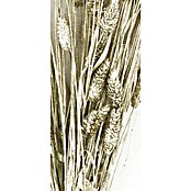 Ramo de flores secas Phalaris (Largo: 76 cm, Plata) | BAUHAUS