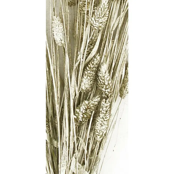 Ramo de flores secas Phalaris - Largo: 76 cm, Plata - Primer plano de un haz de espigas de trigo doradas, que irradian elegancia y belleza natural.