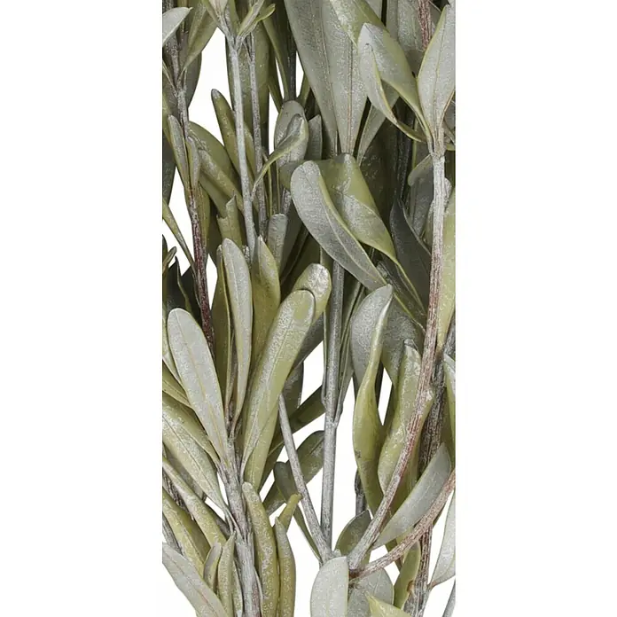 Ramo de flores secas Mixto - Largo: 76 cm, Natural - Primer plano de ramas de olivo con hojas verdosas y tallos rugosos grises, mostrando una textura natural y un atractivo orgánico.