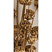 Ramo de flores secas Honey (Largo: 76 cm, Dorado) | BAUHAUS