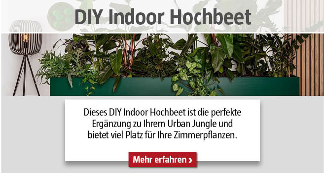DIY Indoor Hochbeet
