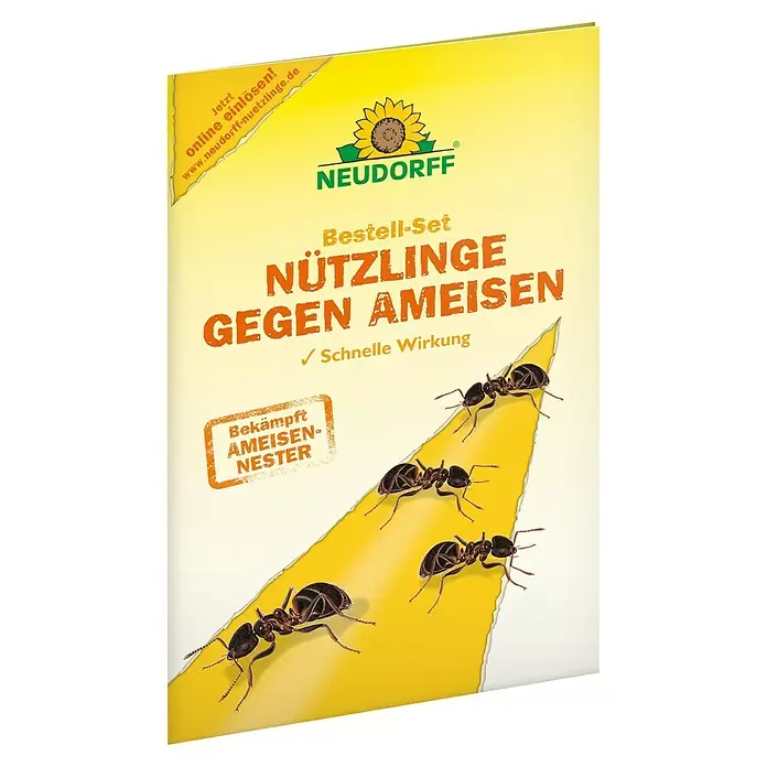 Neudorff Bestellkarte - Geeignet für: Ameisen - Neudorff Broschüre für Nützlinge gegen Ameisen, mit Ameisen und Sonnenblumen-Logo auf gelb-grünem Hintergrund.
