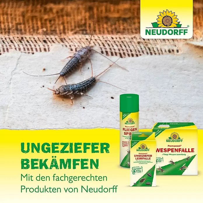 Neudorff Permanent Insekten-Spray Fliegenspray - 750 ml - Neudorff Schädlingsbekämpfungsprodukte: Fliegenspray, Leimfallen, Wespenfalle. Silberfische auf rauer Oberfläche.