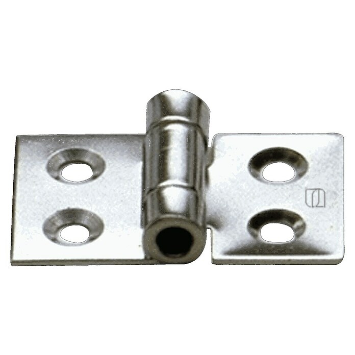 Sprenger Scharnier (l x b: 50 x 30 mm) | BAUHAUS