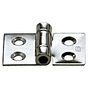 Sprenger Scharnier (l x b: 50 x 30 mm) | BAUHAUS