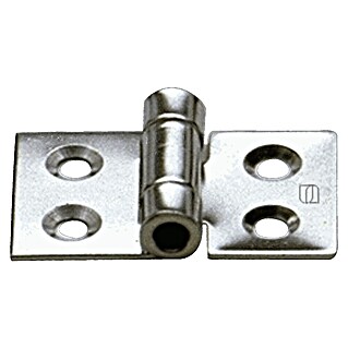 Sprenger Scharnier (l x b: 50 x 30 mm)