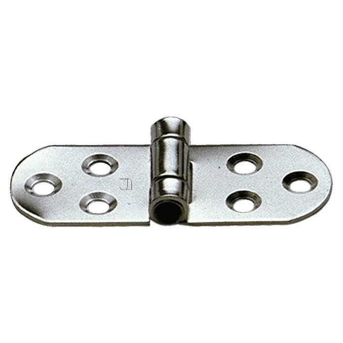 Sprenger Scharnier (l x b: 80 x 30 mm) | BAUHAUS