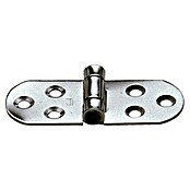 Sprenger Scharnier (l x b: 80 x 30 mm) | BAUHAUS