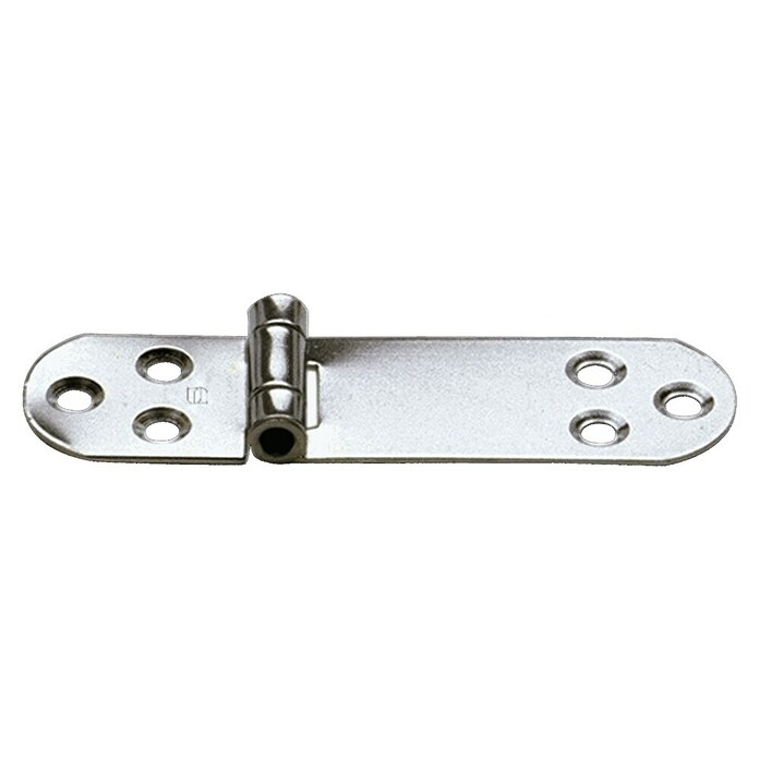 Sprenger Scharnier (l x b: 110 x 30 mm) | BAUHAUS