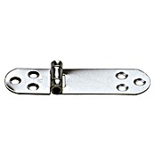 Sprenger Scharnier (l x b: 110 x 30 mm) | BAUHAUS