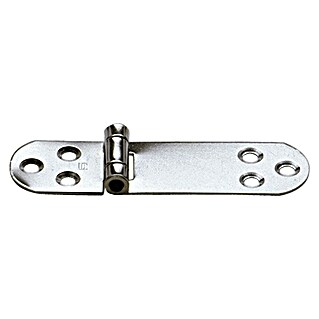 Sprenger Scharnier (l x b: 110 x 30 mm)