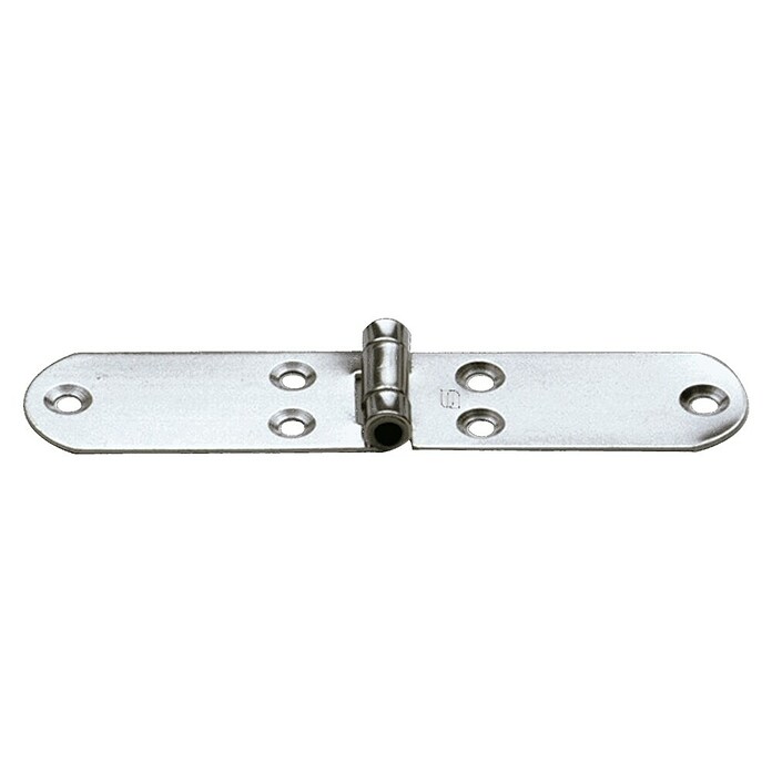 Sprenger Scharnier (l x b: 150 x 40 mm) | BAUHAUS