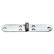Sprenger Scharnier (l x b: 150 x 40 mm) | BAUHAUS