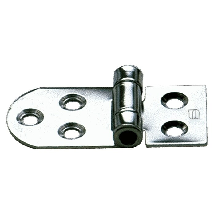 Sprenger Scharnier (l x b: 65 x 30 mm) | BAUHAUS