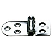 Sprenger Scharnier (l x b: 65 x 30 mm) | BAUHAUS