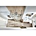 Camargue San Francisco Set za stenski WC 
