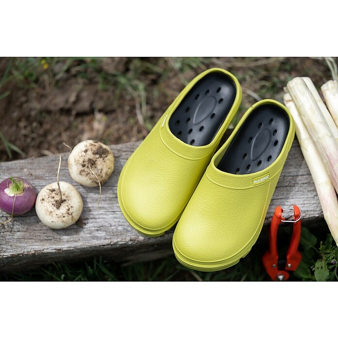 Black Fox Gartenclogs Evasion (Schuhgröße: 37, Lime) | BAUHAUS