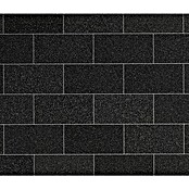 Natursteinfliese Star Galaxy (30,5 x 61 cm, Schwarz, Poliert)