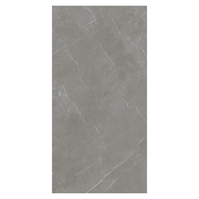 Pločica od prirodnog kamena Marmolino  (60 x 120 cm, Tamno siva, Mat) | BAUHAUS