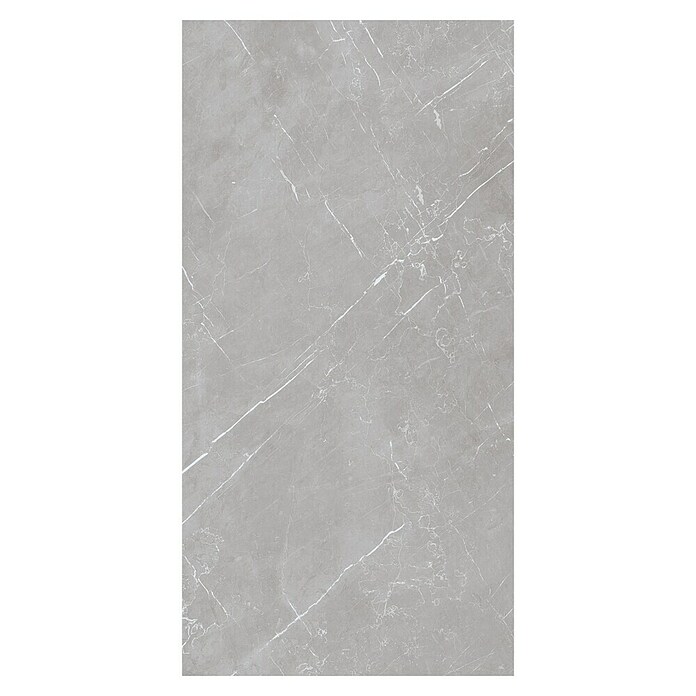 Pločica od prirodnog kamena Marmolino  (60 x 120 cm, Siva, Mat) | BAUHAUS