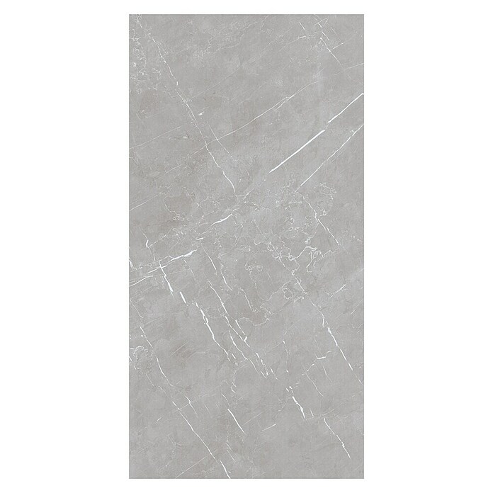 Pločica od prirodnog kamena Marmolino  (60 x 120 cm, Siva, Mat) | BAUHAUS