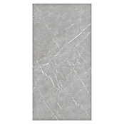 Pločica od prirodnog kamena Marmolino  (60 x 120 cm, Siva, Mat) | BAUHAUS