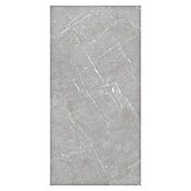 Pločica od prirodnog kamena Marmolino  (60 x 120 cm, Siva, Mat) | BAUHAUS