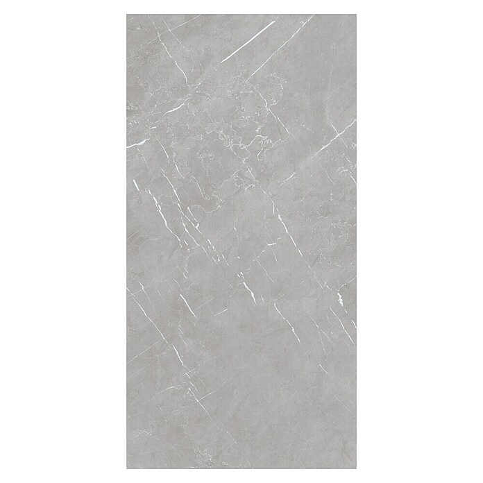 Pločica od prirodnog kamena Marmolino  (60 x 120 cm, Siva, Mat) | BAUHAUS