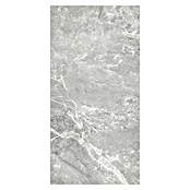 Kamena podna pločica Snakestone Silver Sugar  (120 x 60 cm, Siva, Mat) | BAUHAUS