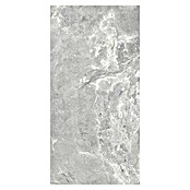 Kamena podna pločica Snakestone Silver Sugar  (120 x 60 cm, Siva, Mat) | BAUHAUS