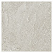 Podna pločica Soft Slate Sugar  (D x Š: 60 x 60 cm, Svijetlo siva) | BAUHAUS