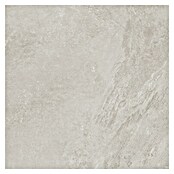 Podna pločica Soft Slate Sugar  (D x Š: 60 x 60 cm, Svijetlo siva) | BAUHAUS