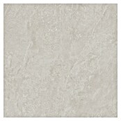 Podna pločica Soft Slate Sugar  (D x Š: 60 x 60 cm, Svijetlo siva) | BAUHAUS