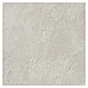 Podna pločica Soft Slate Sugar  (D x Š: 60 x 60 cm, Svijetlo siva) | BAUHAUS