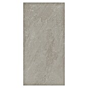 Porculanska pločica Soft Slate Sugar  (D x Š: 60 x 120 cm, Siva) | BAUHAUS