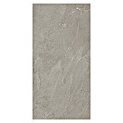Porculanska pločica Soft Slate Sugar  (D x Š: 60 x 120 cm, Siva) | BAUHAUS