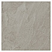 Porculanska pločica Soft Slate Sugar  (D x Š: 60 x 60 cm, Siva) | BAUHAUS