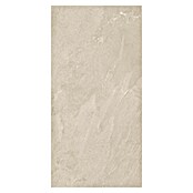 Podna pločica Soft Slate Sugar  (D x Š: 60 x 120 cm, Bež) | BAUHAUS