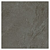 Porculanska pločica Soft Slate Sugar  (D x Š: 60 x 60 cm, Antracit, Izgled kamena) | BAUHAUS