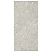 Porculanska pločica Soft Slate Sugar  (D x Š: 60 x 120 cm, Svijetlo siva) | BAUHAUS
